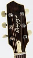 LR Baggs AEG 1 Acoustic Electric Guitar Natural, Inc Gigbag