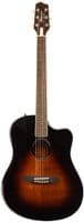 Lr Baggs AEG-1 Acoustic Electric Guitar Sunburst, Inc Gigbag