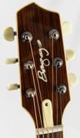 Lr Baggs AEG-1 Acoustic Electric Guitar Sunburst, Inc Gigbag