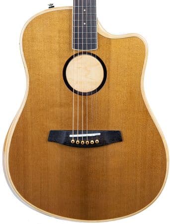 LR Baggs AEG 1 Acoustic Electric Guitar Torrified, inc Gigbag