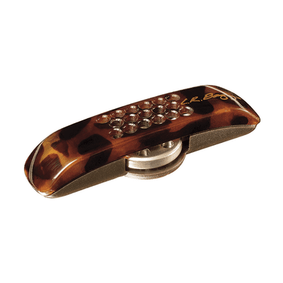 LR BAGGS LYRIC MICROPHONE