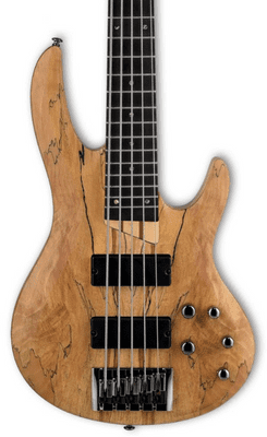 LTD B-205SM NATURAL SATIN  Spalted Maple