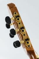 Manuel Rodriguez Academia EX SS EA, Spruce Rosewood Electro, Gloss