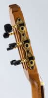 Manuel Rodriguez Academia EX SS, Exótica Santos Rosewood, Spruce, Satin