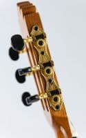 Manuel Rodriguez Café Cortado Electro Classical Guitar Santos Rosewood