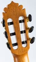 Manuel Rodriguez Cafe Cortado Curly Walnut Electro Classical