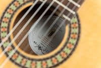 Manuel Rodriguez EX SC, Academia Exótica Santos Rosewood Cedar Top, Gloss