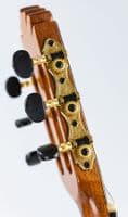 Manuel Rodriguez SUPERIOR Series C Palisander Cedar