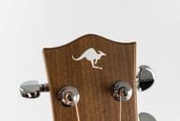 Maton EBG808 TE Tommy Emmanuel Guitar
