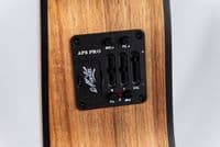 Maton EBW70C Blackwood guitar with Case