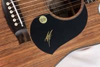 Maton EBW70C Blackwood guitar with Case