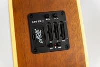 Maton Masterbuilt TE Personal 808 Tommy Emmanuel