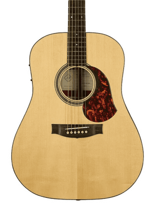 Maton The Master Built Dreadnought with Case