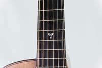Mcilroy A25c Cedar Walnut Guitar, Celtic Knot, LR Baggs Hifi Pickup