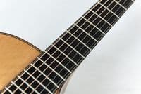 Mcilroy A25c Cedar Walnut Guitar with Case