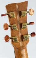 Mcilroy A25c Cedar Walnut Guitar with Case