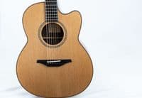 Mcilroy A25c Cedar Walnut Guitar with Case