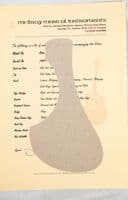 Mcilroy A36 guitar, Italian Spruce Rosewood