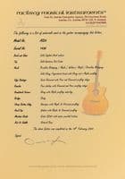 Mcilroy AS25 Cedar Walnut Acoustic Guitar