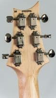 PRS Mark Lettieri Fiore HSS Dog Hair, with Gigbag