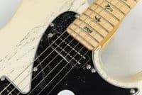 PRS SE NF53 White Dog Hair, Inc Gigbag