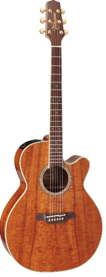 Takamine EF508KC