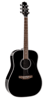 Takamine FT341