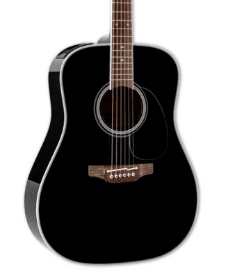 Takamine FT341