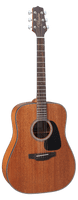 Takamine GD11M-NS
