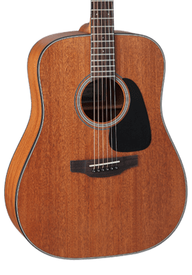 Takamine GD11M-NS
