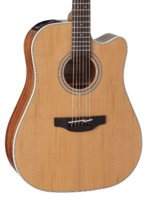 Takamine GD20CE Electro Acoustic, Natural