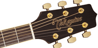 Takamine GD51CE NATURAL