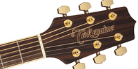 Takamine GD51CE Sunburst Package