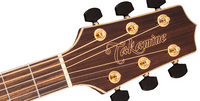 Takamine GD93CE NATURAL