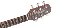 Takamine GN20