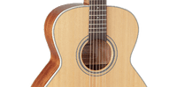 Takamine GN20