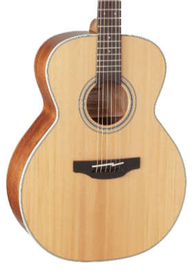 Takamine GN20