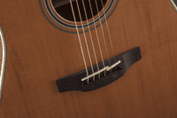 Takamine GN20CE Electro Cutaway Guitar