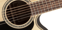 Takamine GN51CE Natural Package