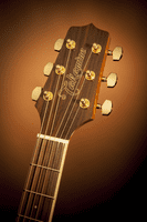 Takamine GN51CE SUNBURST