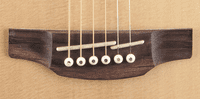 Takamine GY93E NEW YORKER