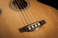 Takamine GY93E NEW YORKER