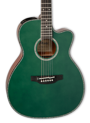 Takamine LTD2025