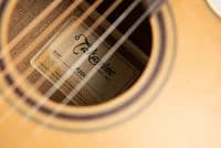 Takamine P3DC Includes Soft Case