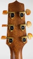 Takamine P3DC Includes Soft Case