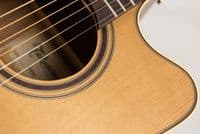 Takamine P3DC Includes Soft Case