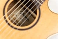 Takamine P3FCN Includes Soft Case