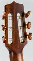 Takamine P3FCN Includes Soft Case