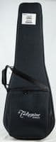 Takamine P3FCN Includes Soft Case