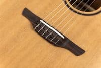 Takamine P3FCN Includes Soft Case